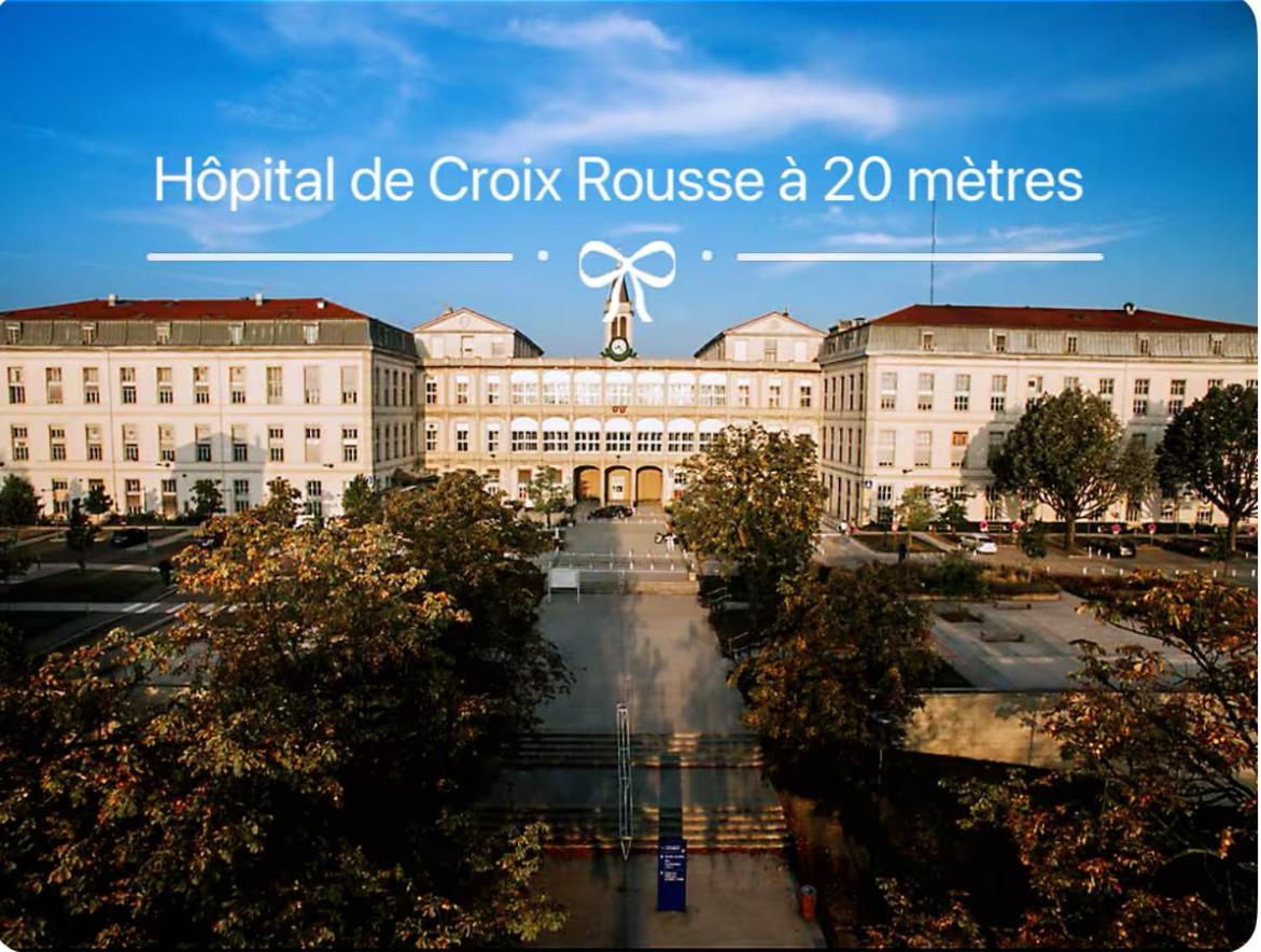 Art De Recevoir - L'Ecrin De Margnolles - Croix Rousse - Metro C-Cuire Калюир-Э-Кюир Экстерьер фото